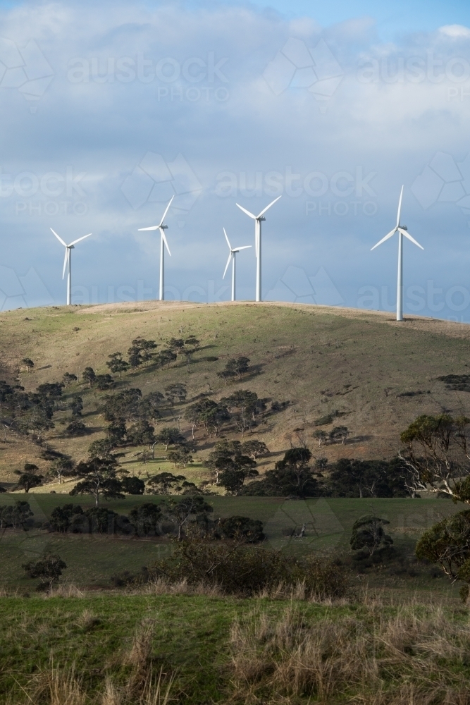 A row of wind turbines on a grassy hill in a paddock - Australian Stock Image