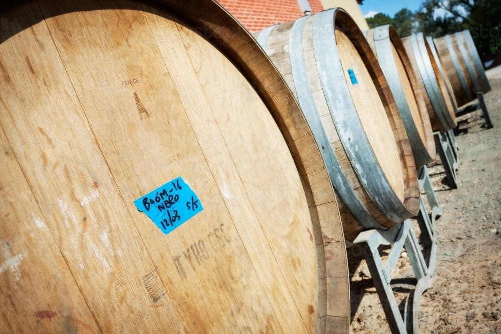 Image of A row of wine barrels - Austockphoto