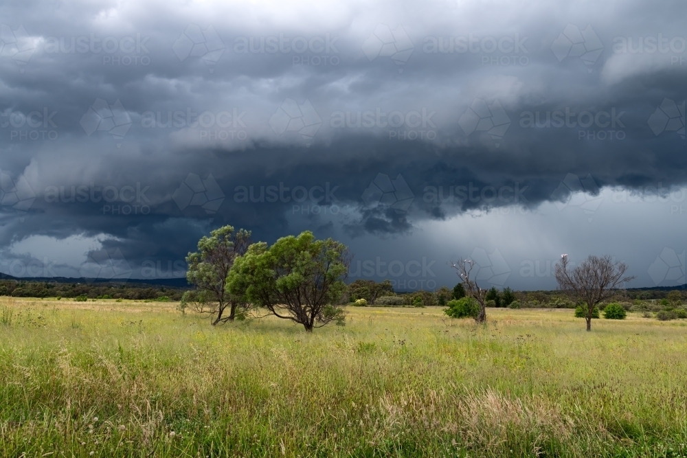 A rural outlook with dark and stormy skies and wildflowers - Australian Stock Image