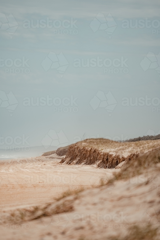 A sand dune with 4WD tyre tracks around it on Spit Fire Beach - Australian Stock Image