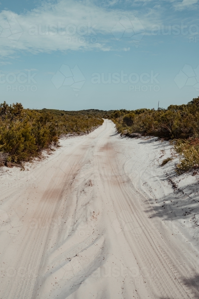 A sandy 4WD track surrounded by coastal vegetation near Honeyeater Lake : Austockphoto A sandy 4WD track surrounded by coastal vegetation near Honeyeater Lake - Australian Stock Image