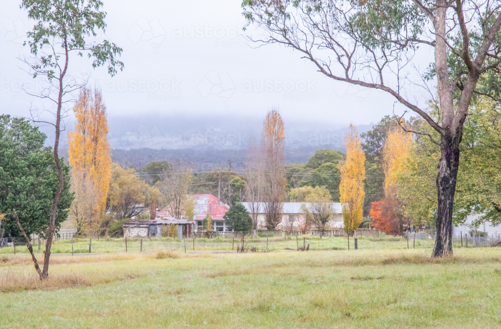 A scene in the country on a misty autumn day with an old house and poplar trees - Australian Stock Image