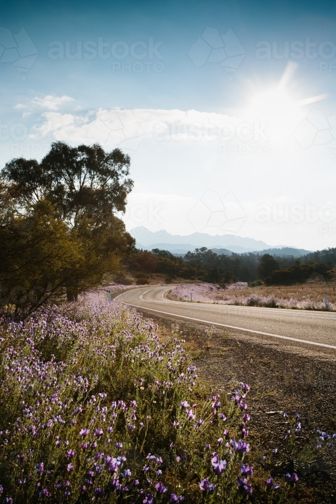 A sealed road leading through the Flinders Ranges - Australian Stock Image