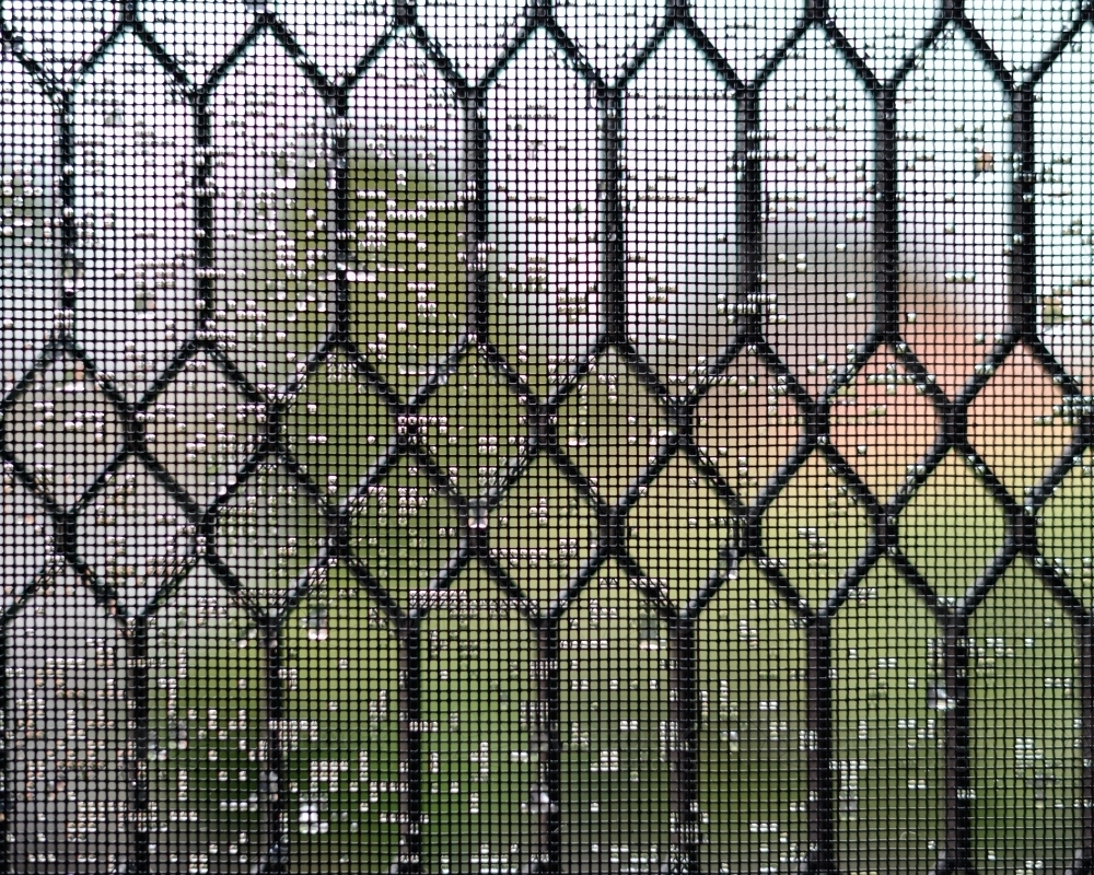 A security door with rain drops on it - Australian Stock Image
