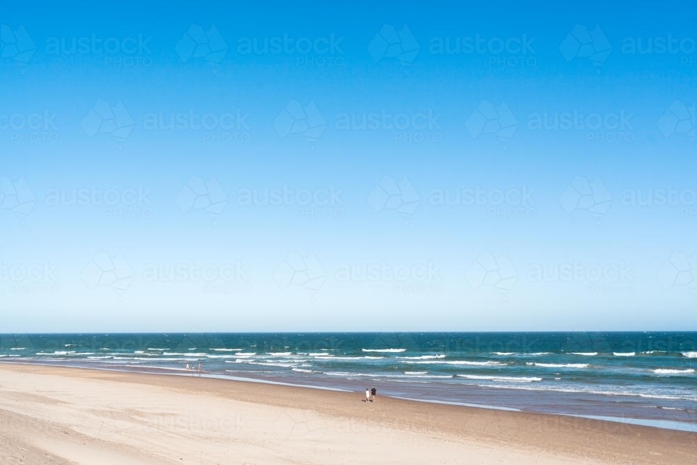 A senior couple walks along a wide, long beach on summers day with a big blue sky overhead. - Australian Stock Image