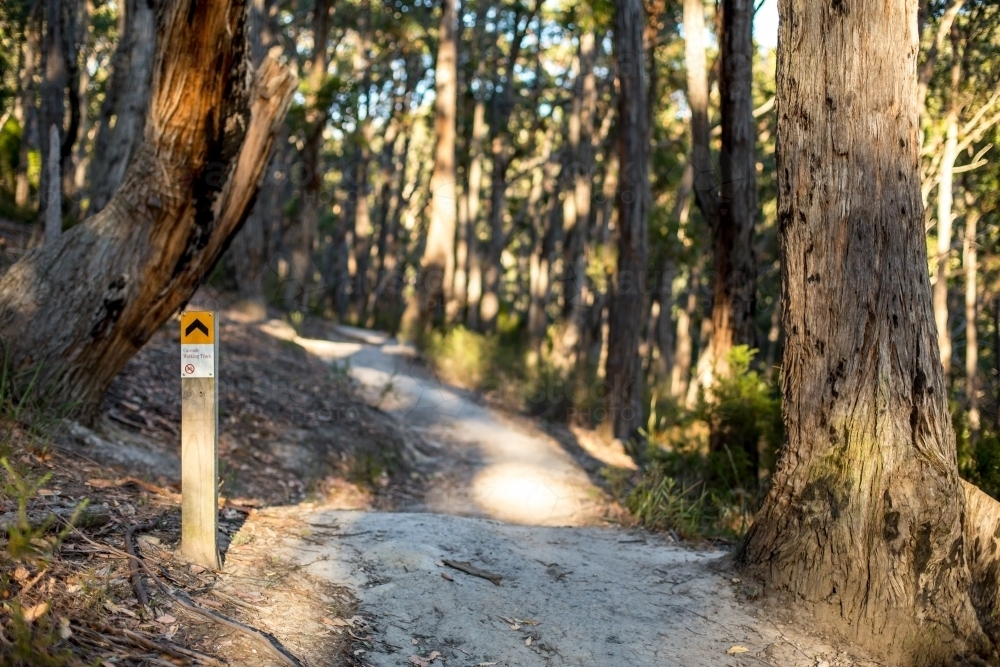 A sign post marks the way along a gravel walking track in amongst an open dry eucalyptus forest - Australian Stock Image