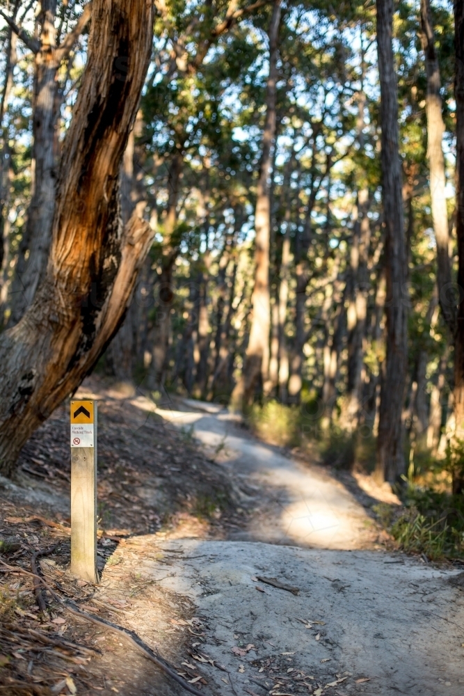 A sign post marks the way along a gravel walking track in amongst an open dry eucalyptus forest. - Australian Stock Image