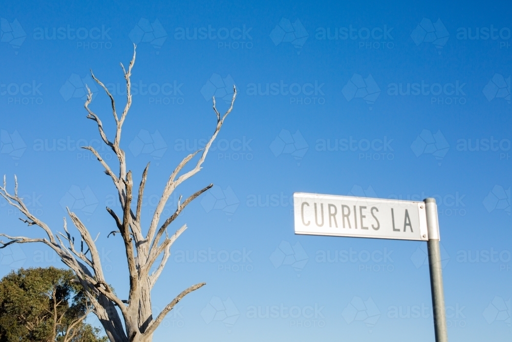 A signpost with a dead tree in the background set against a blue sky - Australian Stock Image