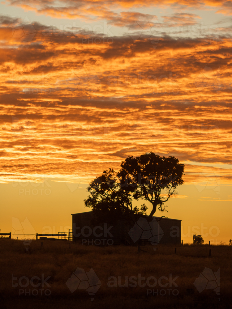 A silhouette of an old shed against an orange sunrise sky - Australian Stock Image