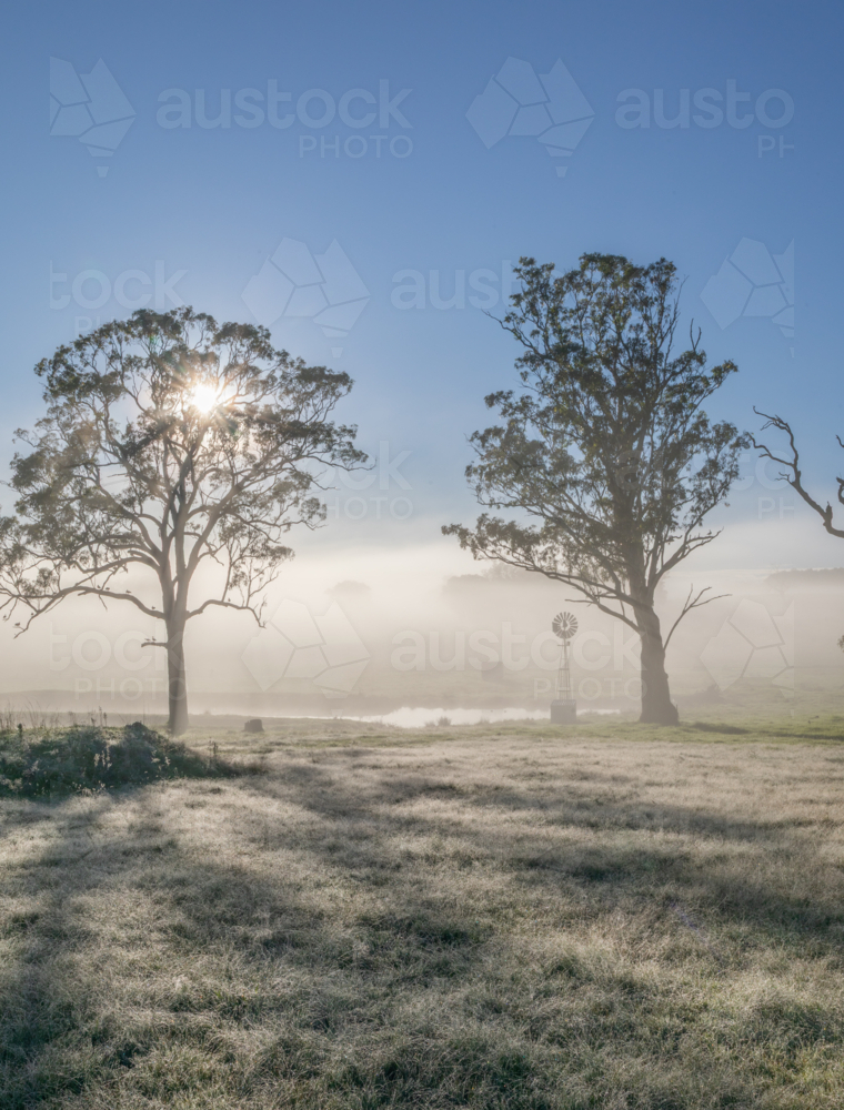 A small country windmill on a misty morning with gum trees - Australian Stock Image