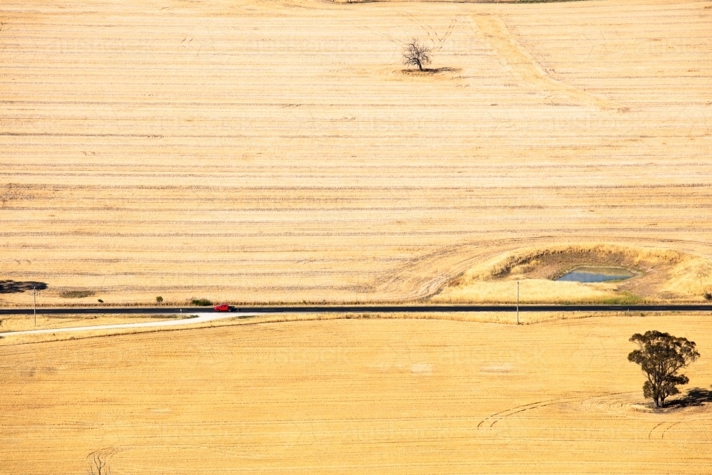 A small red car drives through wheat fields in the Wimmera area of Victoria - Australian Stock Image