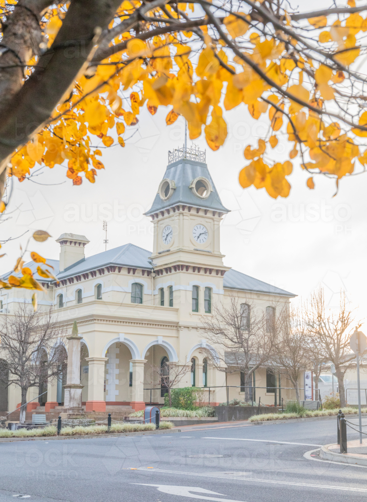 A small town post office building with a clock tower framed by autumn leaves - Australian Stock Image