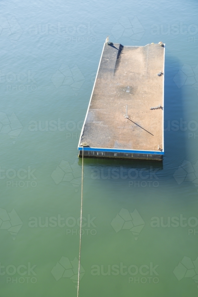 A solitary bird sits on an empty barge on water - Australian Stock Image