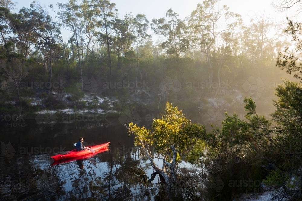 A solo female sitting in red kayak early in the morning on the upper reaches of the Noosa River - Australian Stock Image