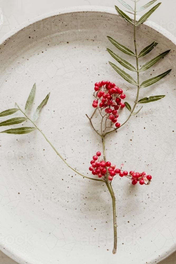 A sprig of pink peppercorn on a plate. - Australian Stock Image