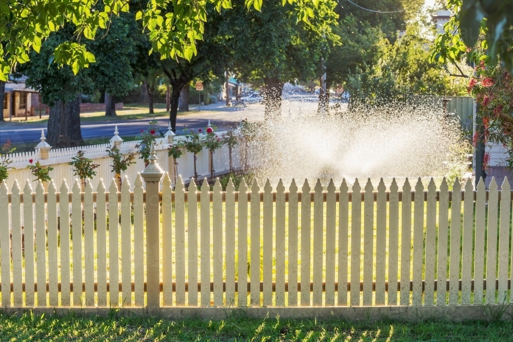 Image of A sprinkler watering a lawn behind a picket fence Austockphoto
