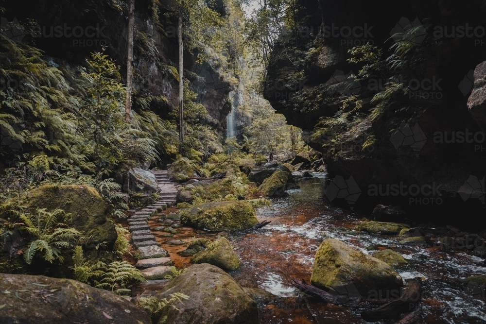 A stone path winding through the lush rainforest on the Grand Canyon Walking Track - Australian Stock Image