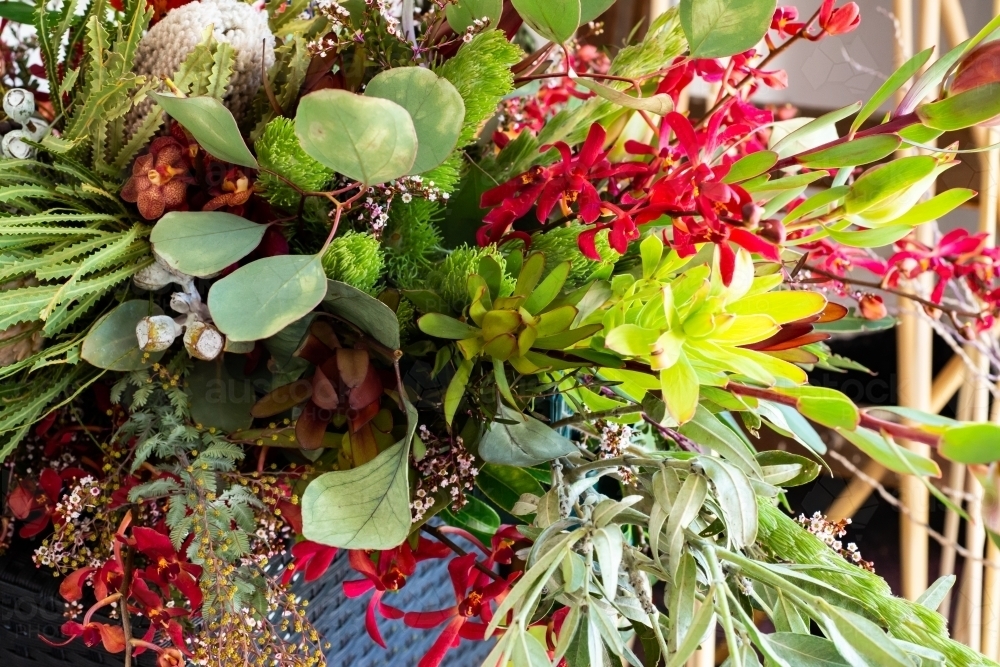 A stunning green and red arrangement of native and exotic blooms and foliage - Australian Stock Image