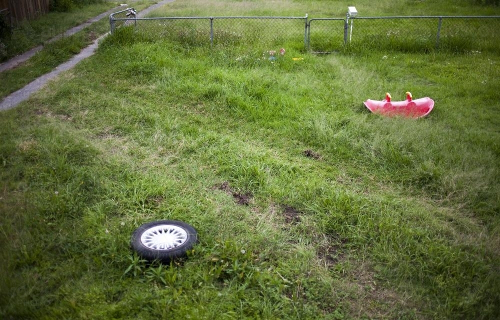 A Suburban Backyard - Australian Stock Image