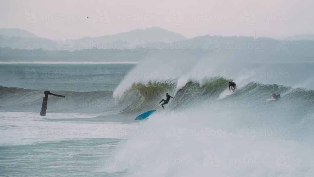 A surfer falling off his board in the waves - Australian Stock Image