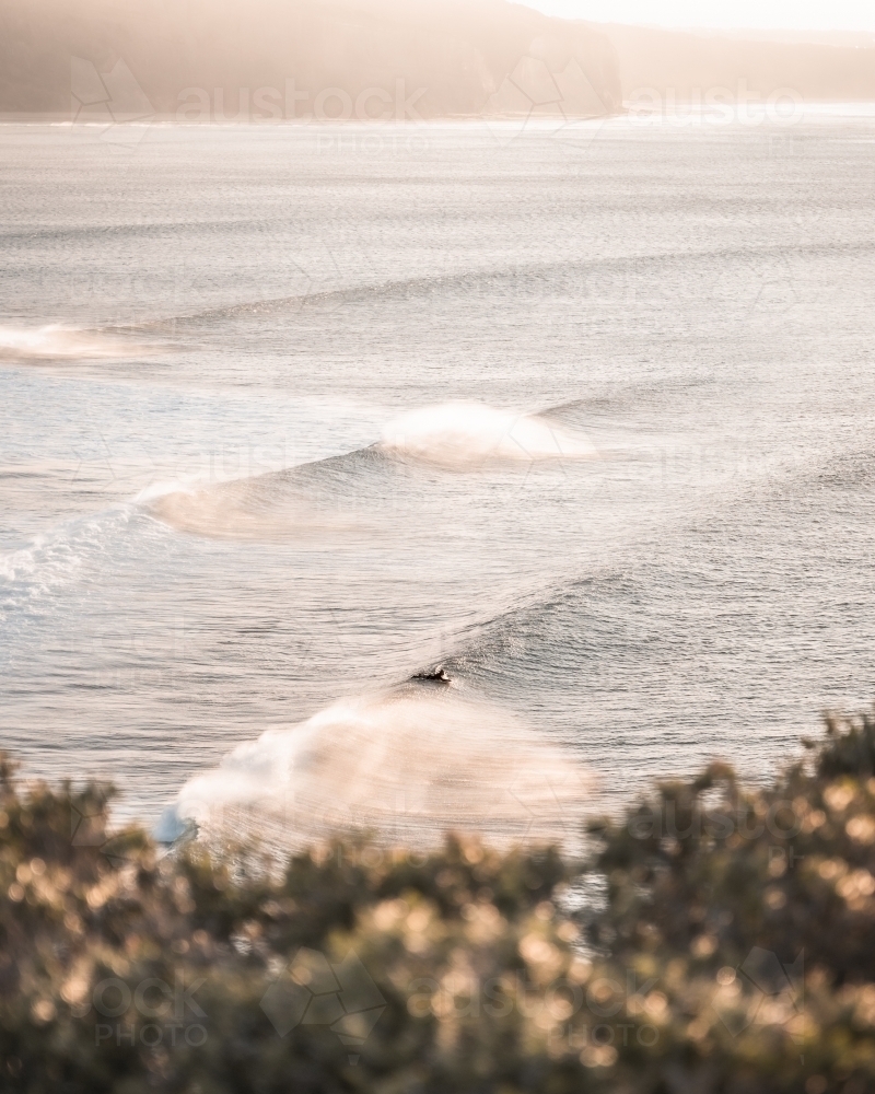 A surfer riding the gentle waves rolling towards the shore. - Australian Stock Image