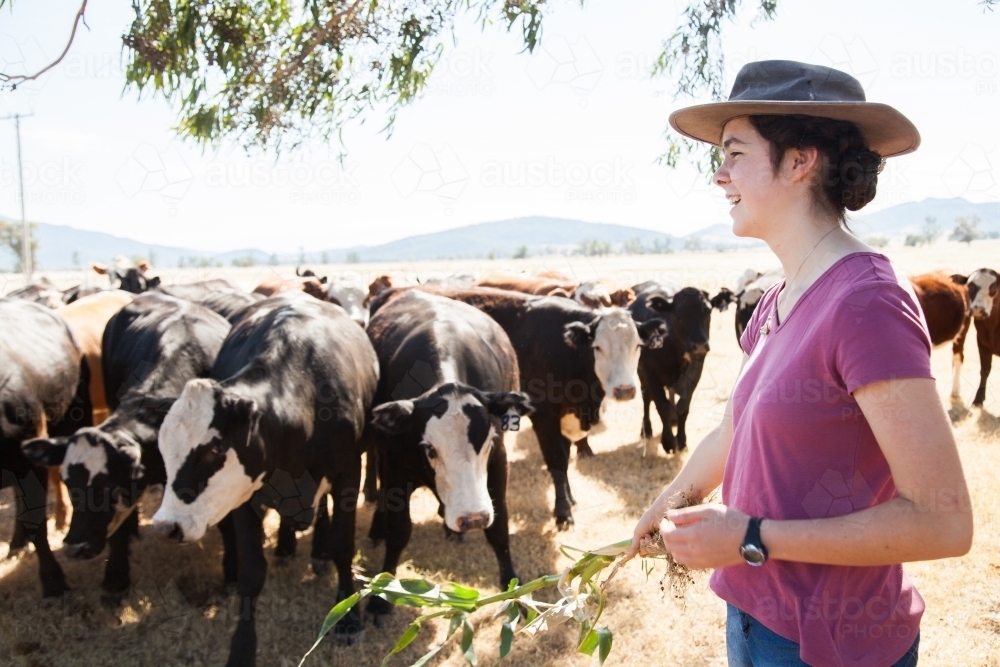 A teen farm kid in an akubra hat standing in farm paddock feeding cattle - Australian Stock Image
