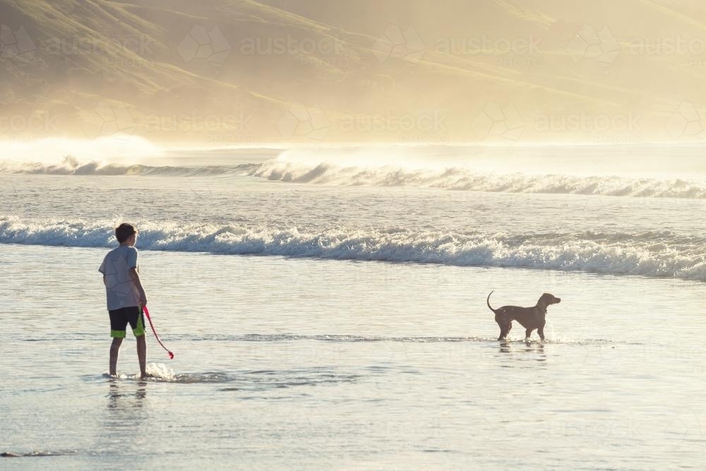 A teenager and a dog play on a beach - Australian Stock Image