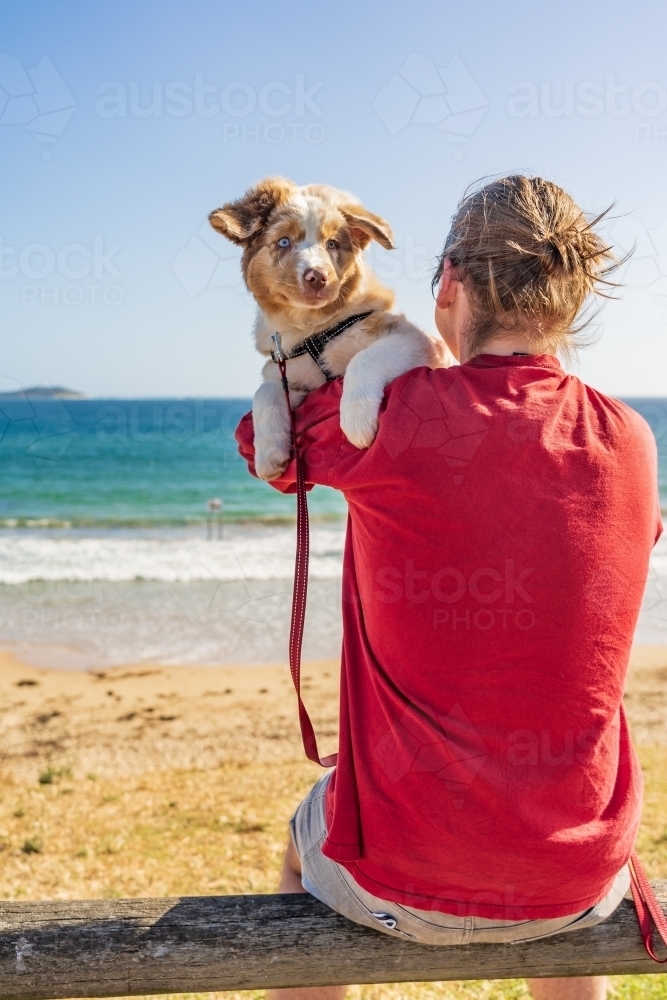 A teenager with a pet puppy on his shoulder sitting at the beach - Australian Stock Image