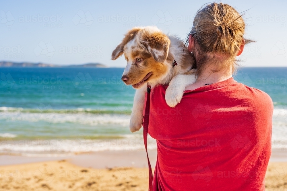 A teenager with a pet puppy on his shoulder sitting at the beach - Australian Stock Image