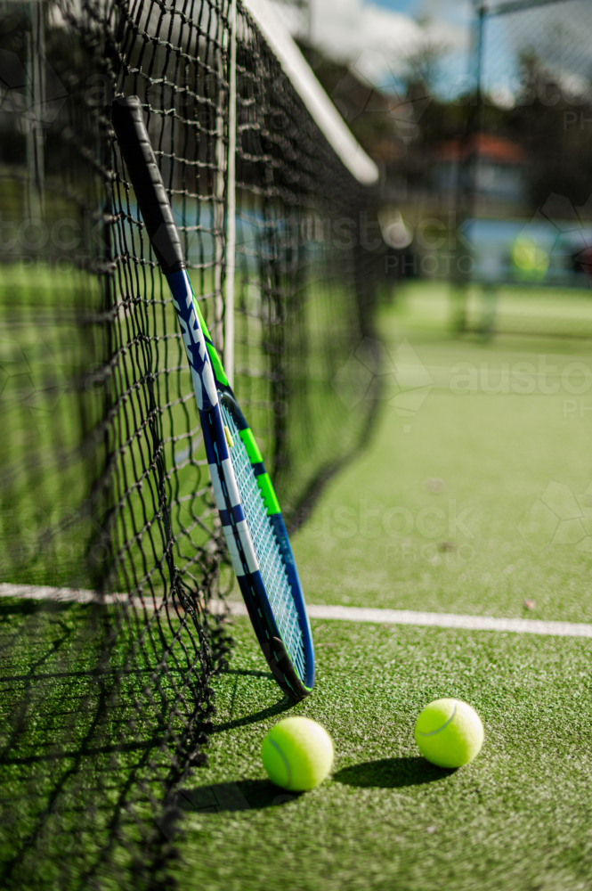 Tennis Racket Against Insaects Image of A tennis racquet rests against the net with two bright yellow ...