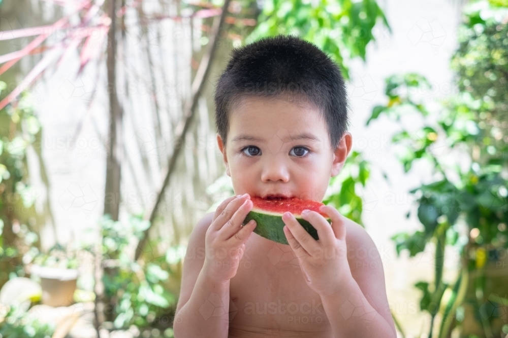 a toddler eating a watermelon on a sunny day - Australian Stock Image