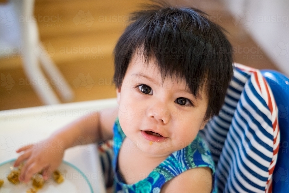 A toddler eating while seated on a high chair - Australian Stock Image