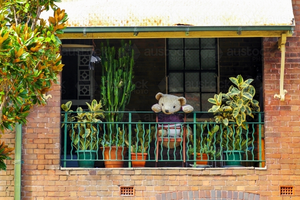 A toy stuffed teddy bear peering over a balcony in Sydney - Australian Stock Image