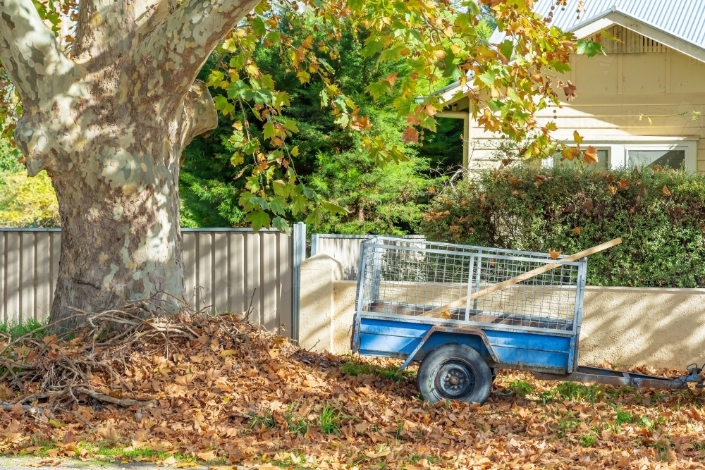 A trailer parked under a tree in front of a house with autumn leaves scattered around - Australian Stock Image