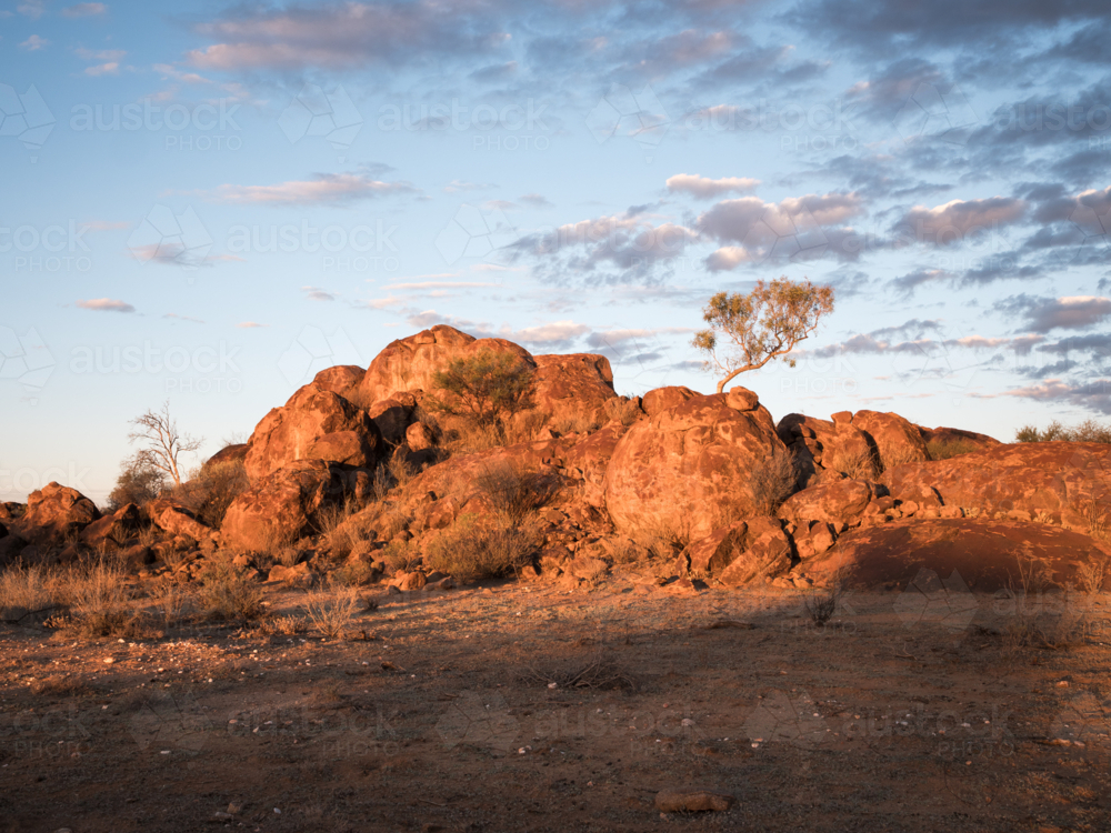 A tree and large rocks at sunset outside Tibooburra, New South Wales - Australian Stock Image