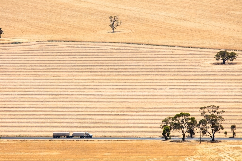 A truck drives through a wheat coloured field in the Wimmera area of Victoria - Australian Stock Image