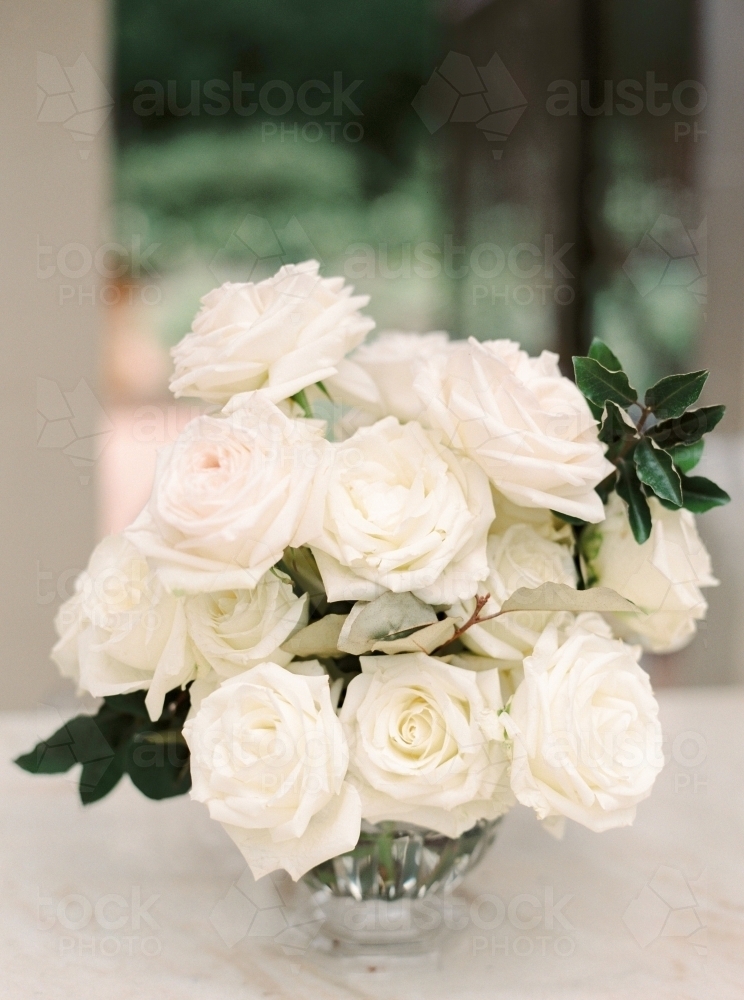 a vase of beautiful white roses - Australian Stock Image