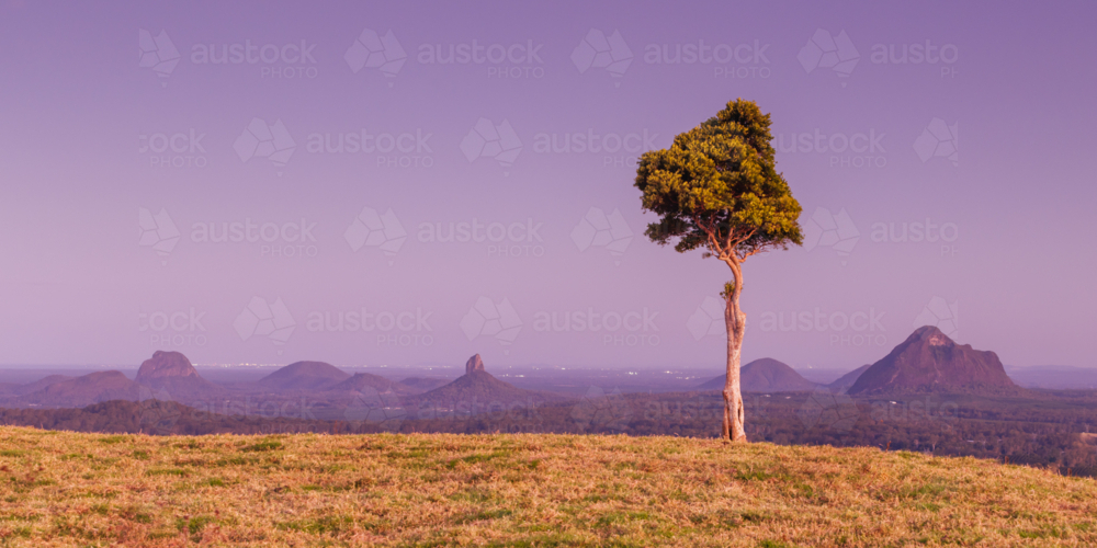A view across the Glass House Mountains National Park from One Tree Hill Lookout on Mountain View Rd - Australian Stock Image