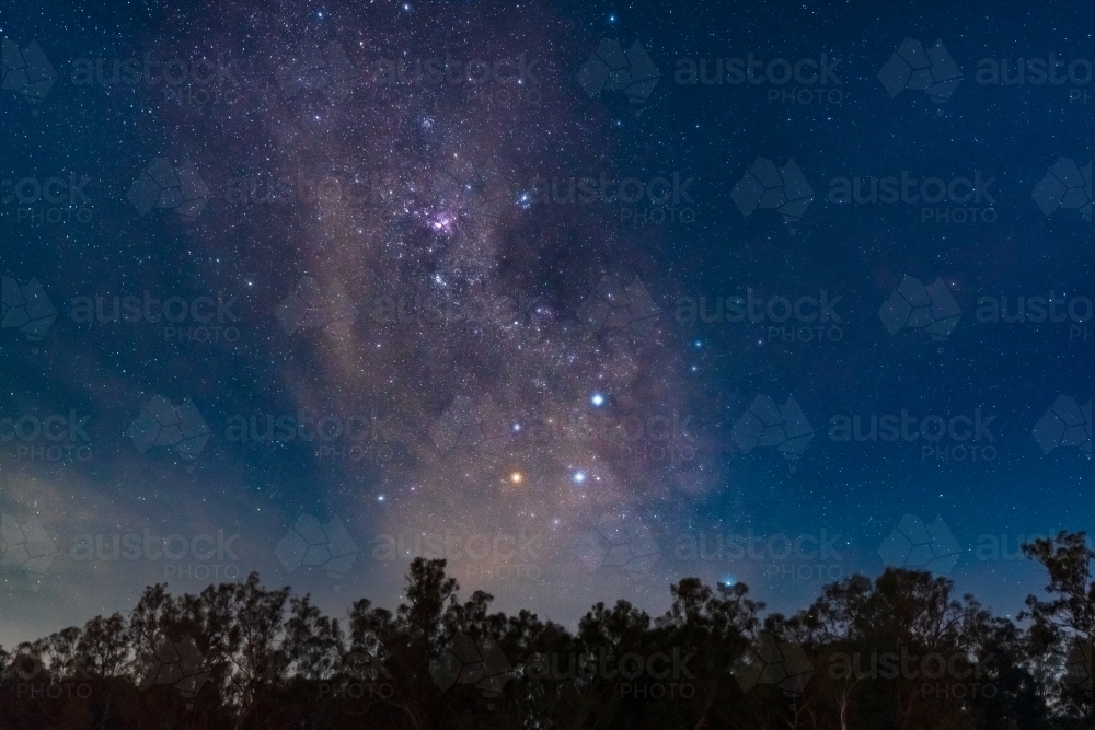 A view of a starry night sky above treetops with the Southern Cross and Milky Way clearly visible - Australian Stock Image