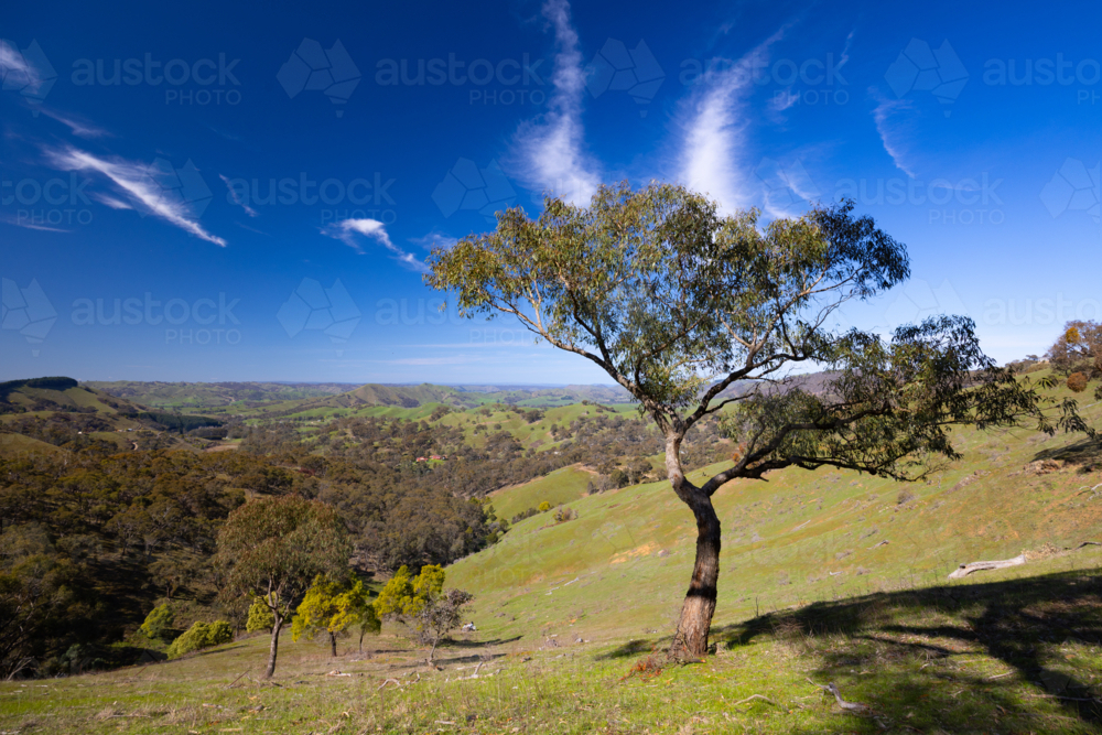 A view over Strath Creek from Murchison Gap Lookout on a clear sunny spring day in Victoria - Australian Stock Image