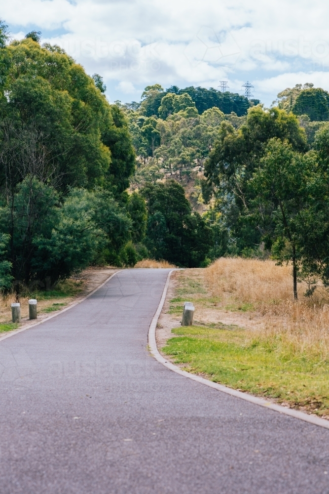 A walking path through the lush trees in the park. - Australian Stock Image