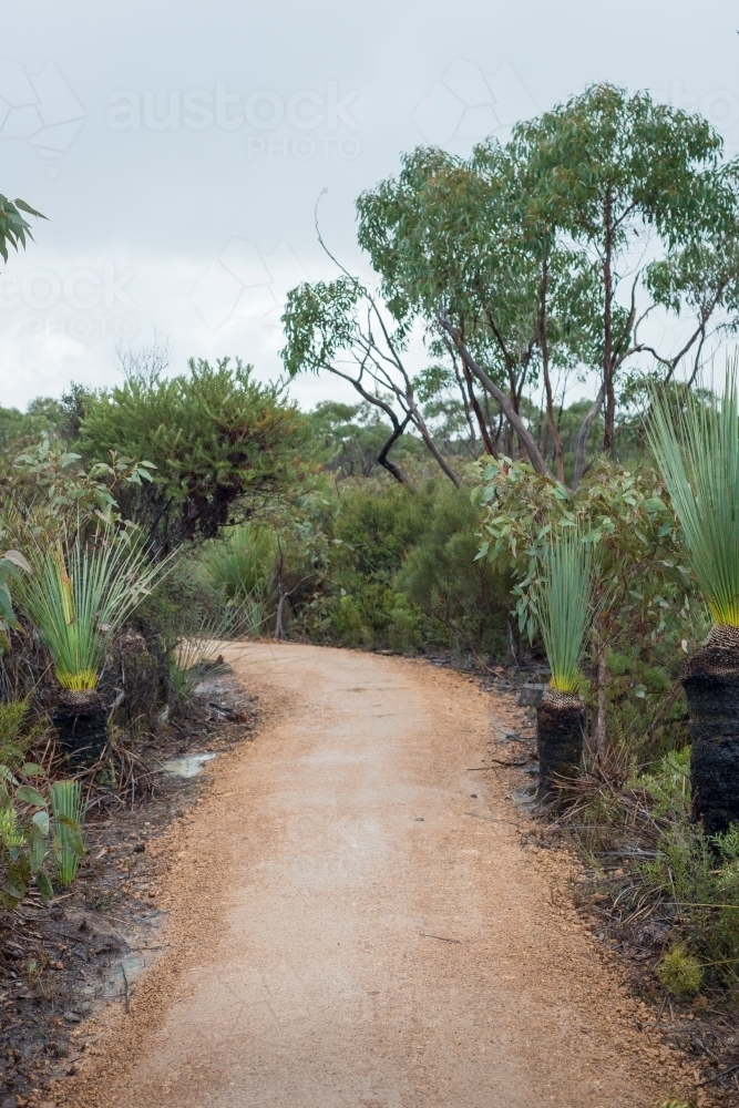 A walking trail through bushland - Australian Stock Image