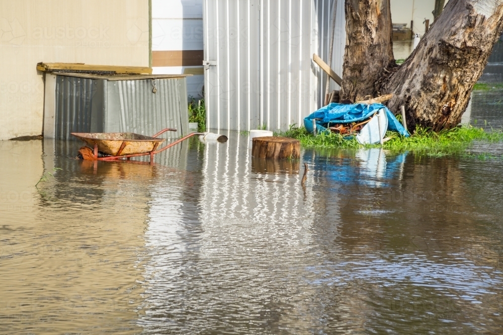 A wheel barrow and chopping block sit in a flooded backyard - Australian Stock Image
