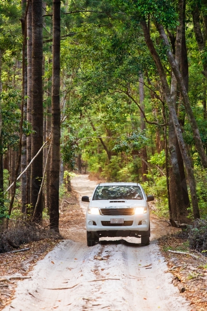 A white 4x4 driving along a sand track in the forest of Fraser Island - Australian Stock Image