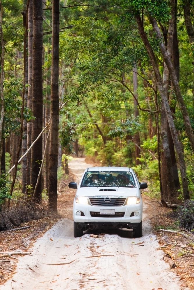 A white four wheel drive travelling along a sand track in the Central Station area of Fraser Island - Australian Stock Image
