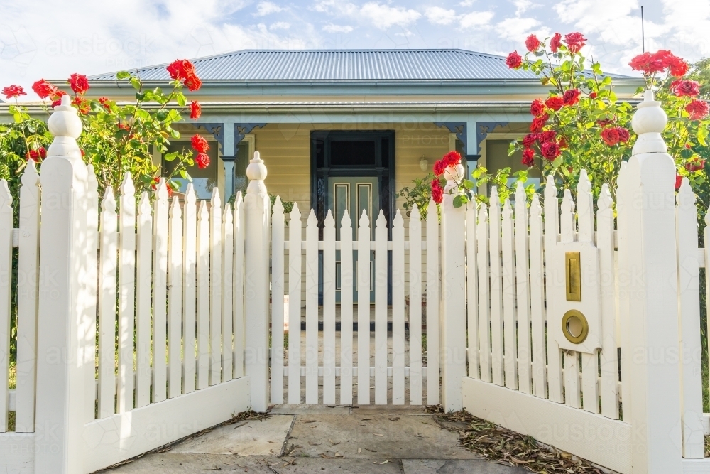 A white picket fence and gateway with red roses in front of a house - Australian Stock Image