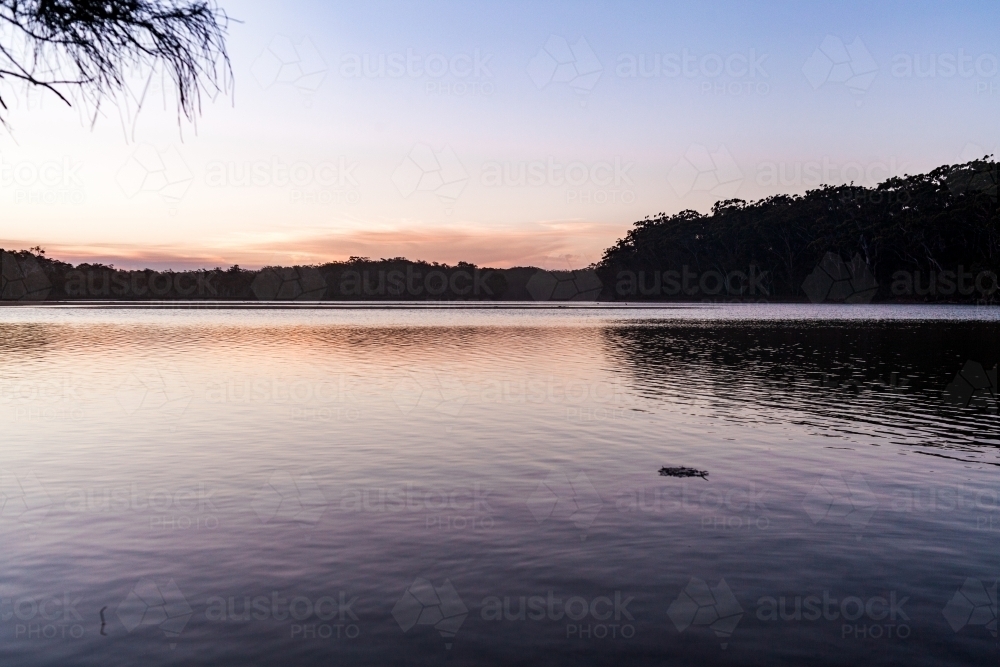 A wide view of a large smooth lake surrounded by the silhouettes of trees at dusk - Australian Stock Image