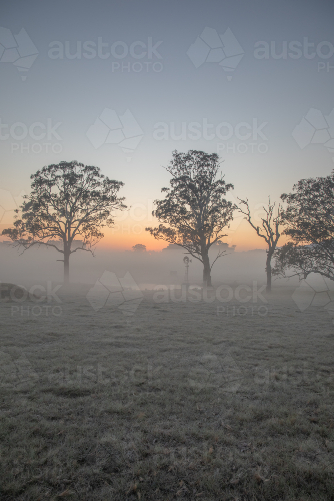 A windmill and a misty morning country scene - Australian Stock Image
