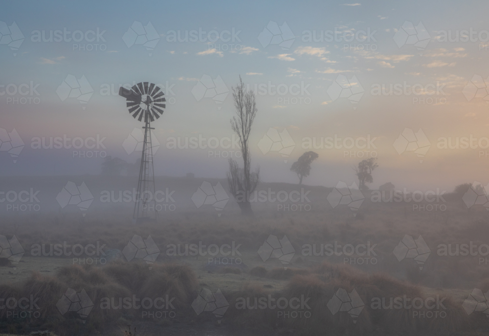 A windmill and a tree silhouette on a misty morning - Australian Stock Image