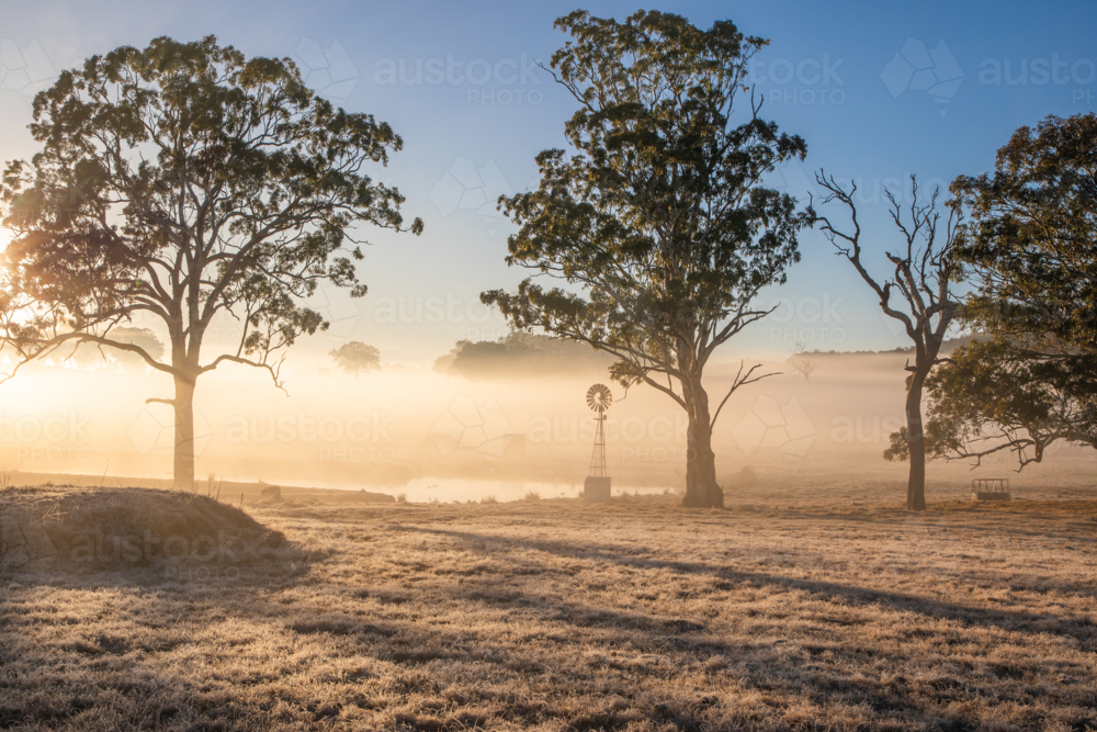 A windmill in the country on a misty morning - Australian Stock Image